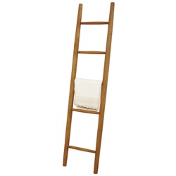 Ladder 4050