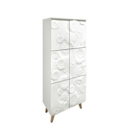 Cabinet Ammoniti 2605